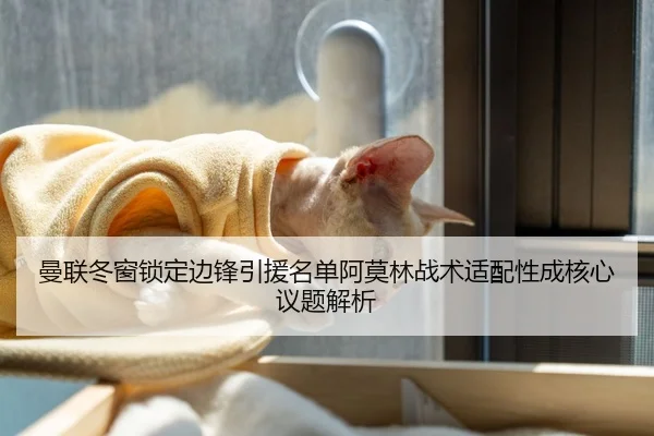 曼联冬窗锁定边锋引援名单阿莫林战术适配性成核心议题解析